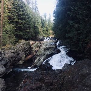 Meet your Posher, Katya